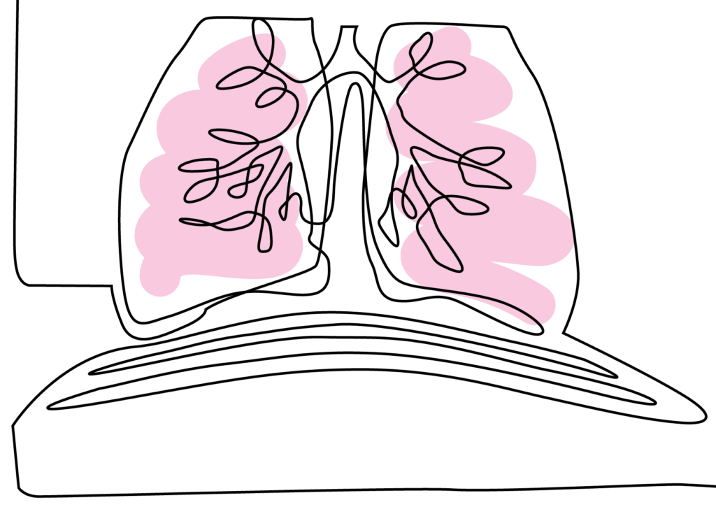 Die Bauchatmung, die Zwerchfellatmung heisst