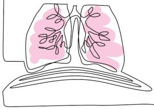 Die Bauchatmung, die Zwerchfellatmung heisst